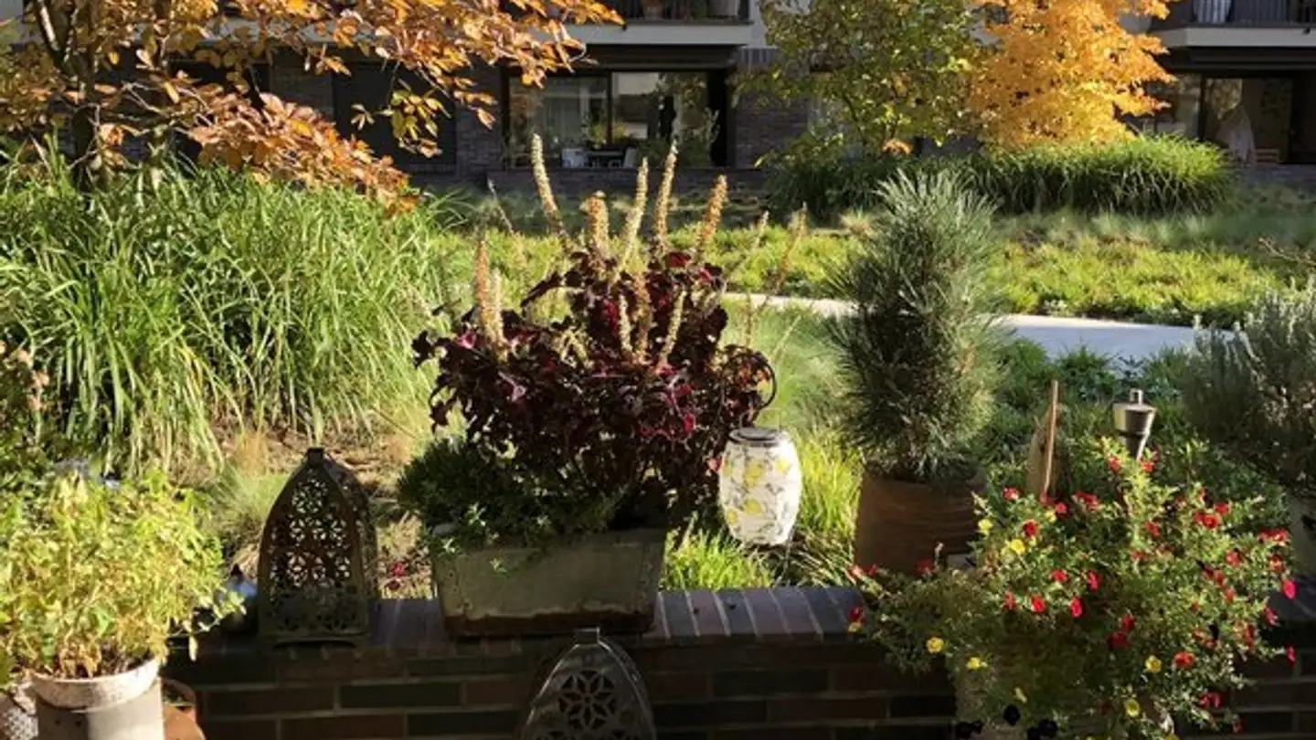 Wohnung mieten - Cécile-Lauber-Gasse 9, 6005 Luzern - Foto 2