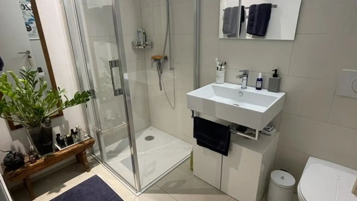 Wohnung mieten - Cécile-Lauber-Gasse 9, 6005 Luzern - Foto 3