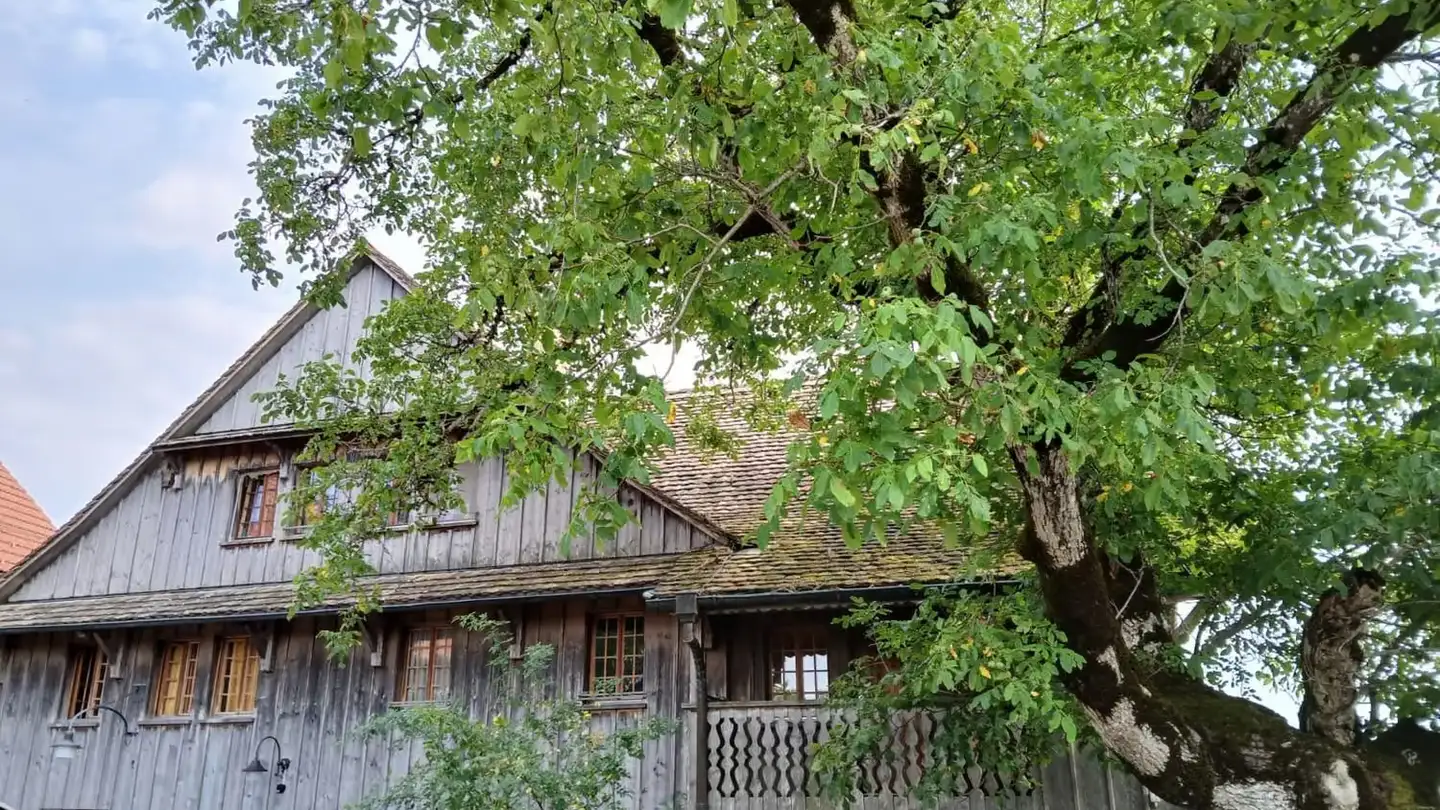 Fattoria in affitto - Käferstrasse 947, 8488 Turbenthal - Foto 2