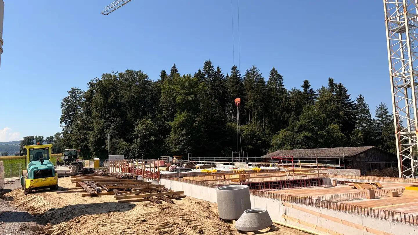 Industrieimmobilie mieten - Webereistrasse 20, 5704 Egliswil