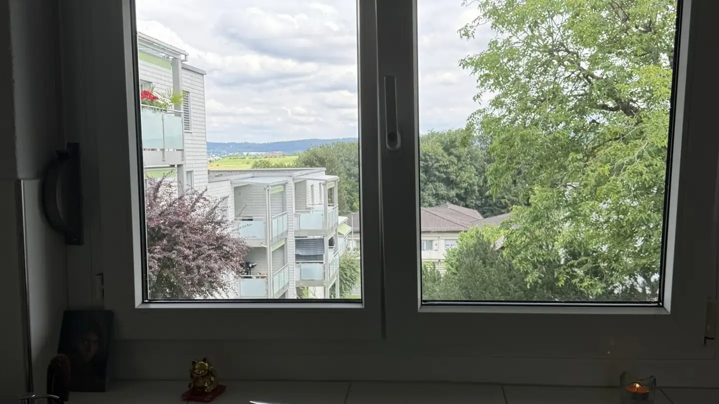 Stanza singola in affitto - 8134 Adliswil - Photo 3