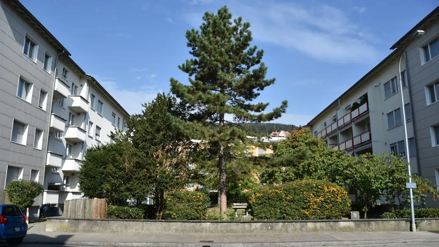 Appartamento in affitto - Rue Feldeck / Feldeckstrasse, 2502 Biel/Bienne - Foto 3