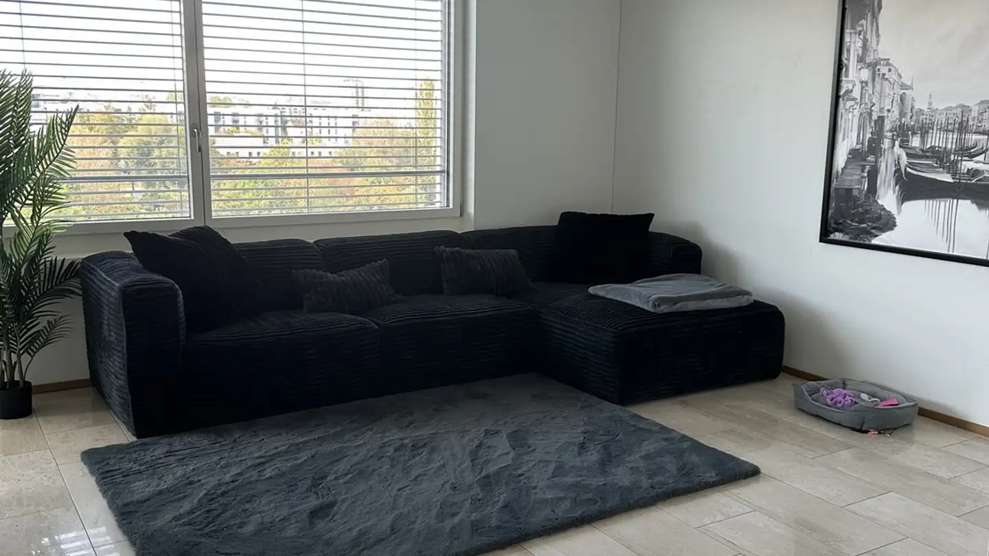 Chambre à louer - Am Stadtrand 17, 8600 Dübendorf