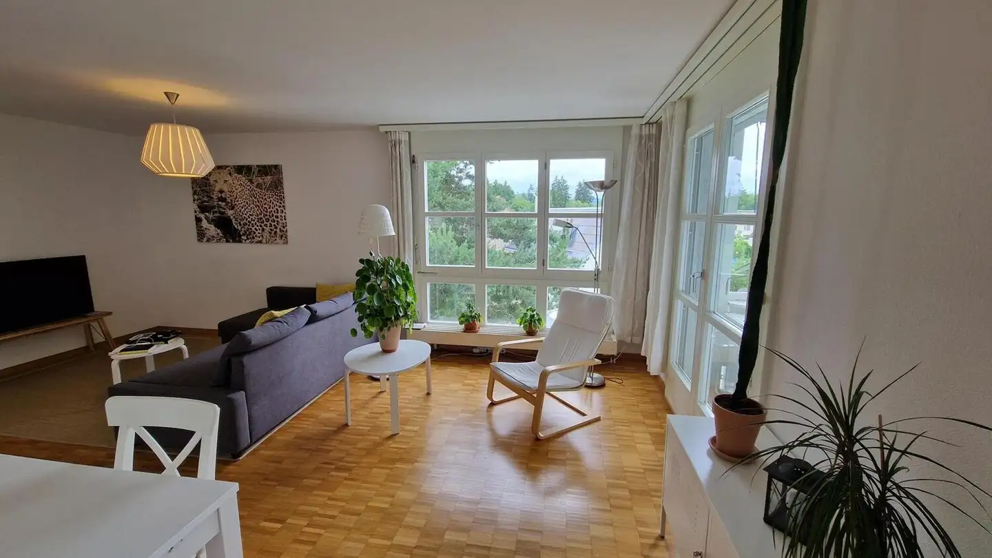 Appartement à louer - 8049 Zürich