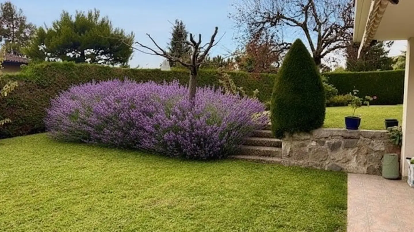 Appartement à vendre - Chemin Des Cornalles, 1802 Corseaux