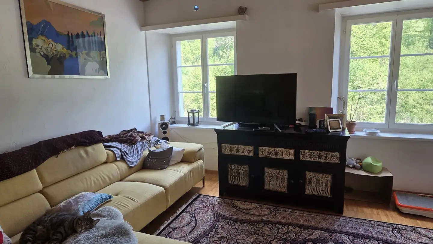 Wohnung mieten - 8820 Wädenswil