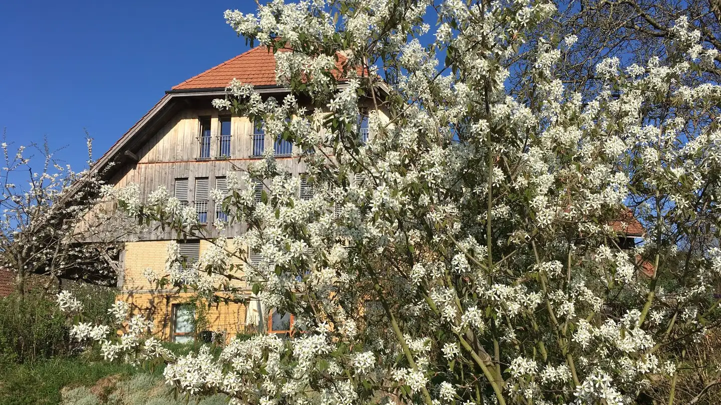 Fattoria in vendita - Dorfstrasse 58, 3365 Seeberg - Foto 4