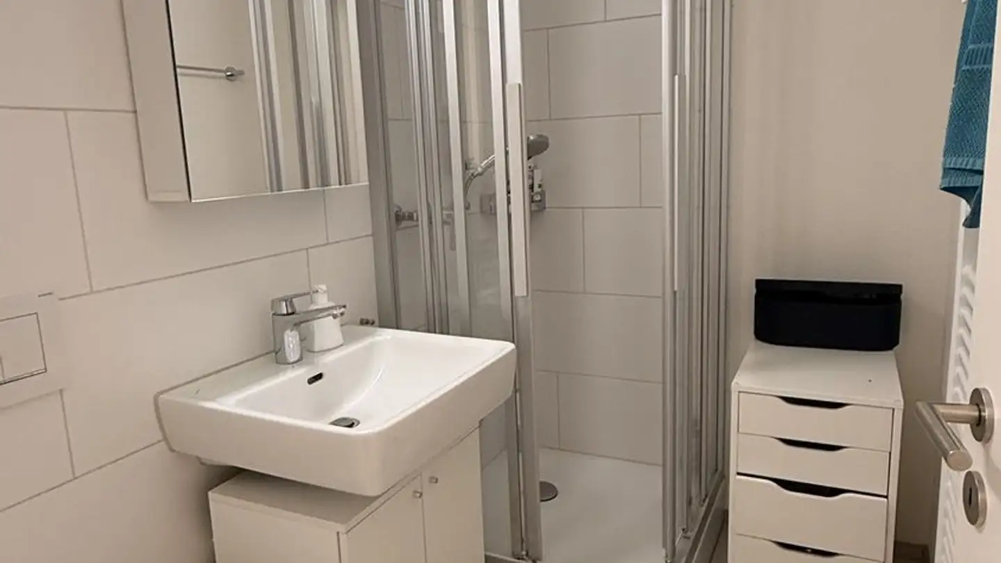 Appartamento in affitto - Pfändwiesenstrasse 20, 8152 Opfikon - Foto 3