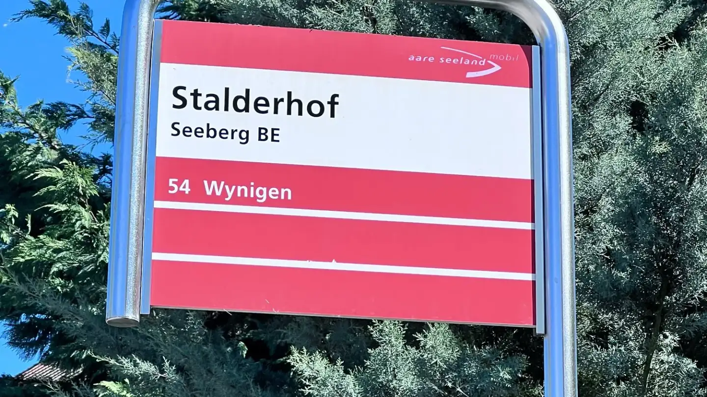 Fattoria in vendita - Dorfstrasse 58, 3365 Seeberg