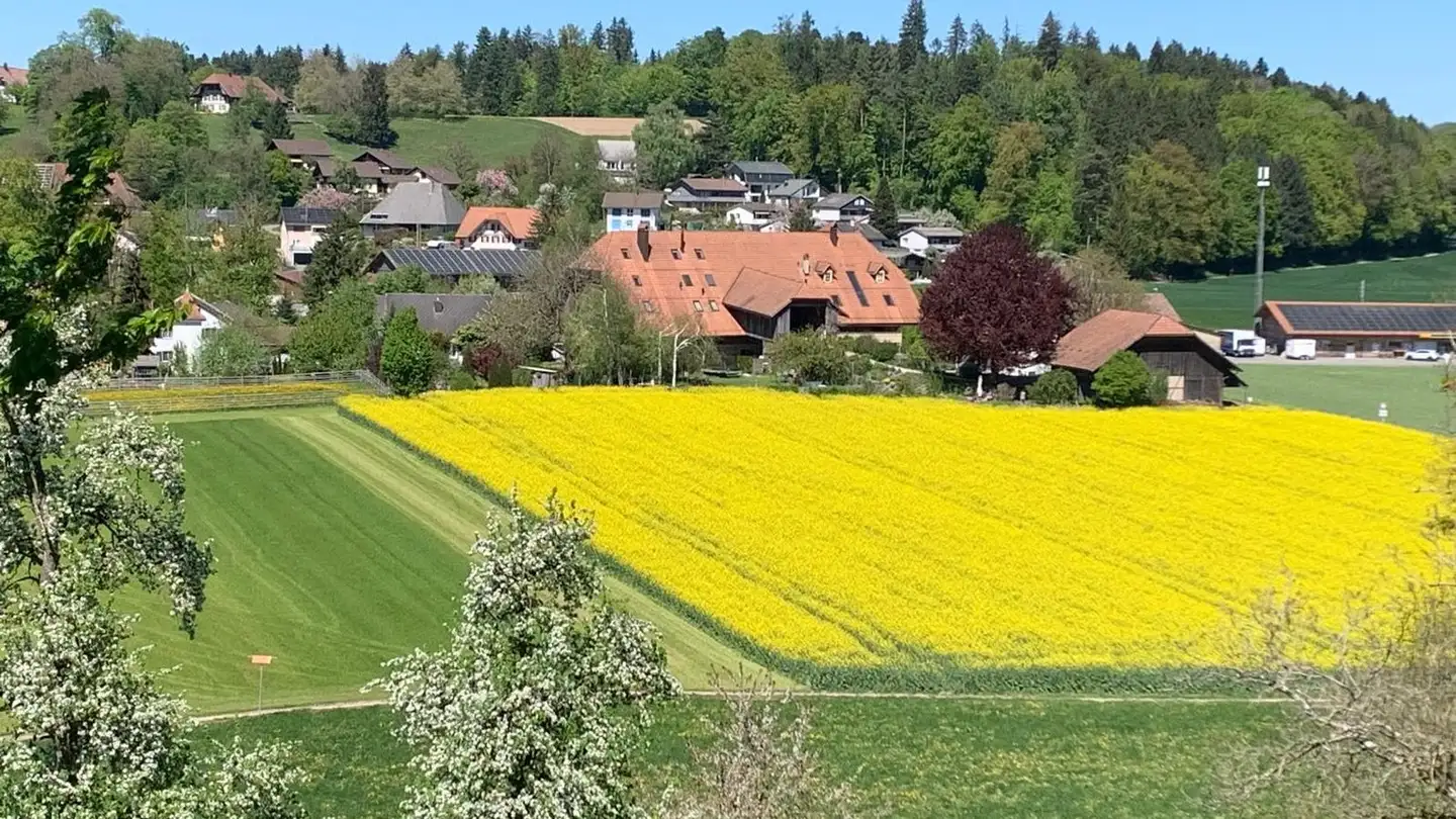 Ferme à vendre - Dorfstrasse 58, 3365 Seeberg - Photo 3