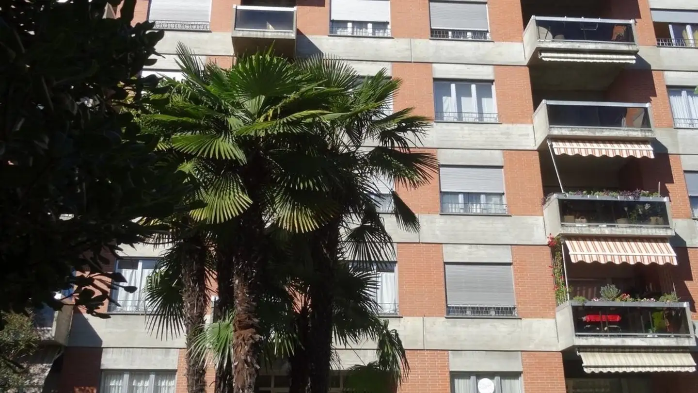 Appartamento in affitto - Via Merlina 28, 6962 Viganello - Photo 3