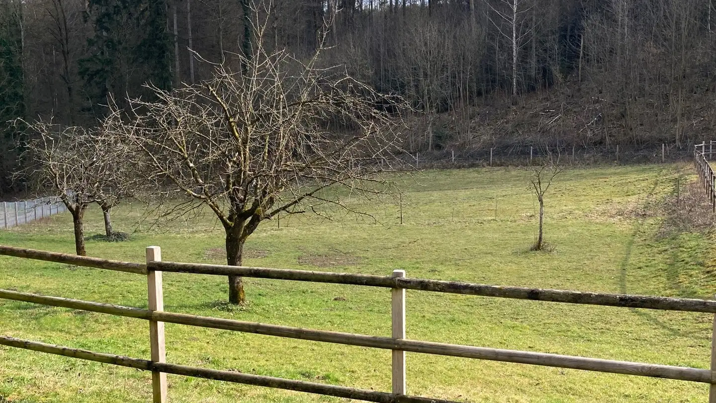 Maison individuelle à vendre - 4658 Däniken SO - Photo 4