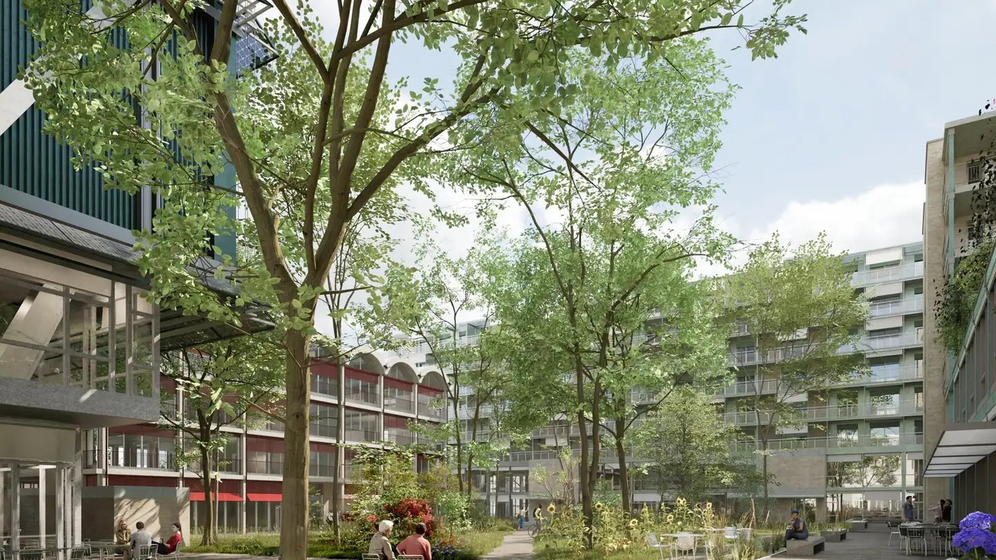 Commercial à louer - 8105 Regensdorf