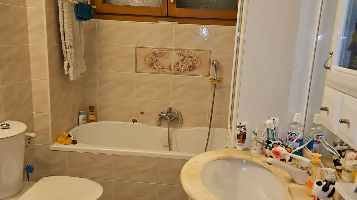Wohnung mieten - 6710 Biasca