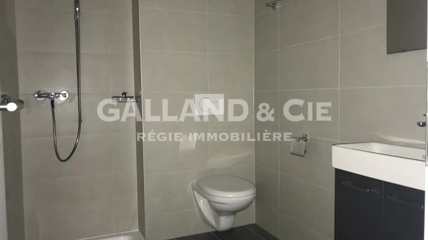 Wohnung mieten - Rue Du Collège 4, 1316 Chevilly - Foto 3
