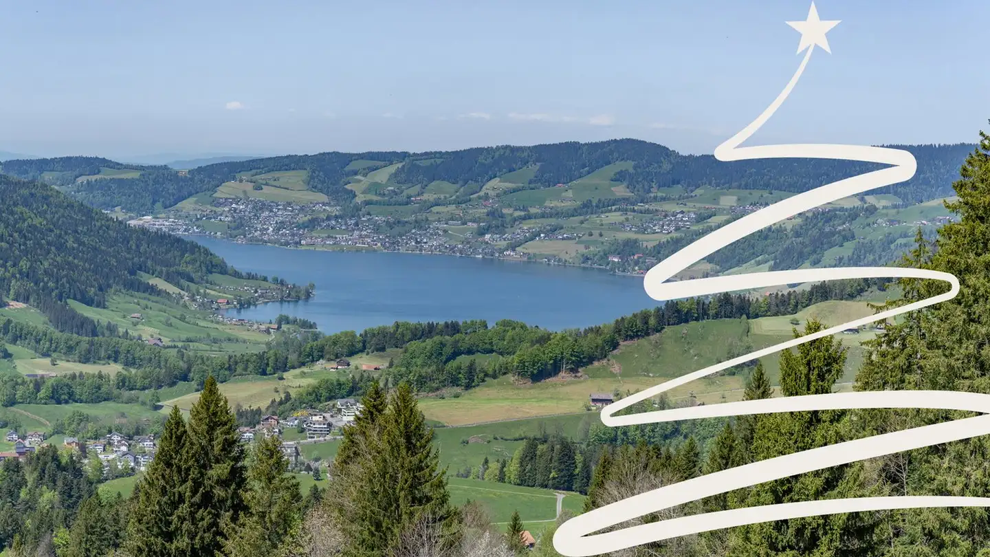 Single house for sale - 6417 Sattel