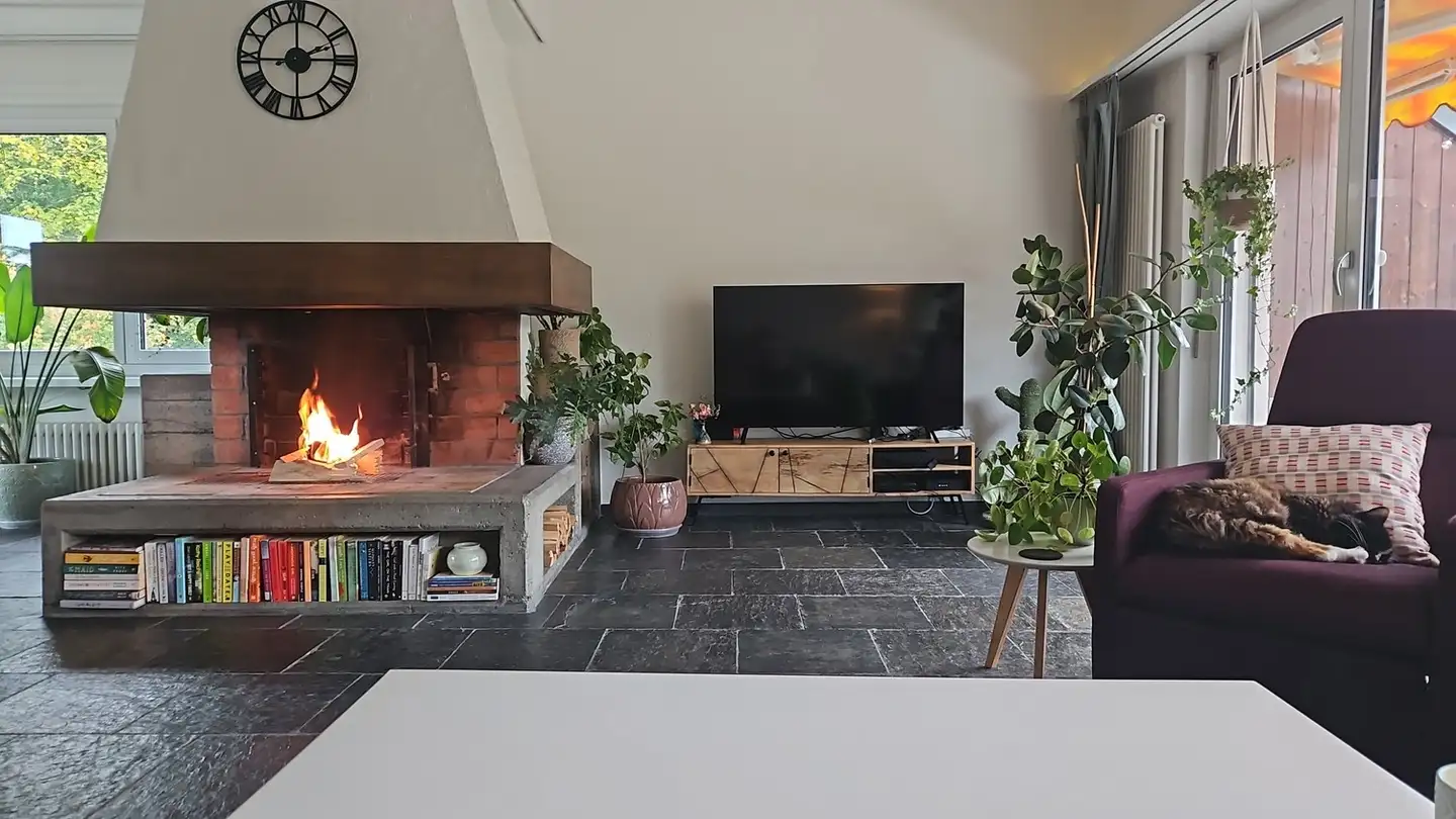 Appartamento in affitto - Holderbachweg 21a, 8046 Zürich