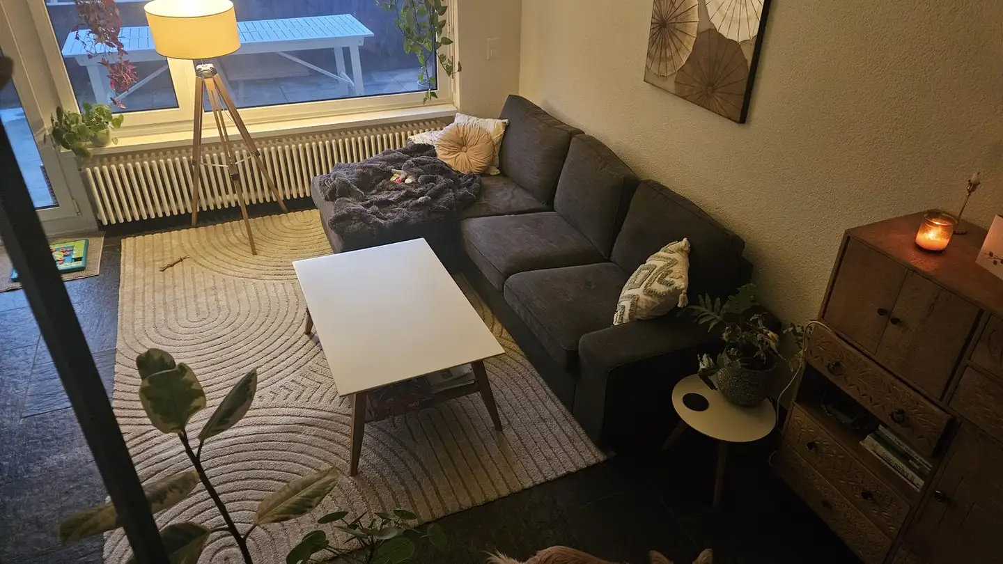 Appartamento in affitto - Holderbachweg 21a, 8046 Zürich - Foto 3