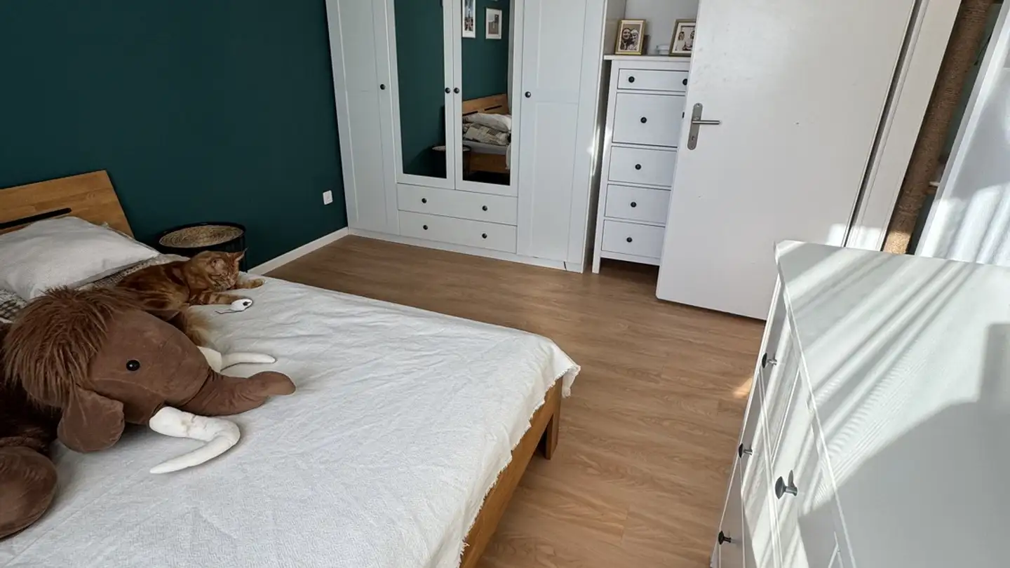 Apartment for rent - 8910 Affoltern am Albis