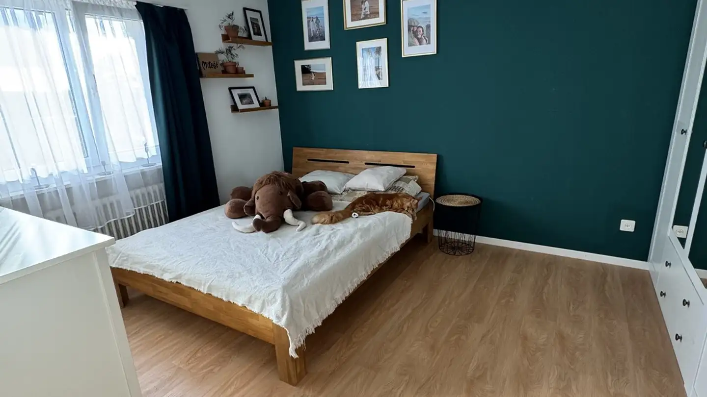Apartment for rent - 8910 Affoltern am Albis - Photo 2