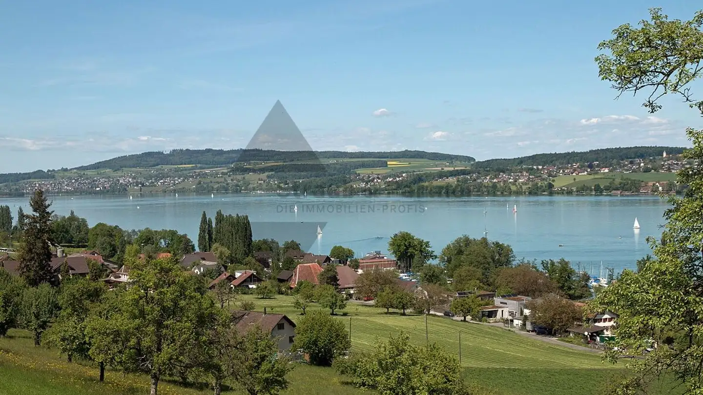 Appartement à vendre - Luzernerstrasse 25, 5712 Beinwil am See