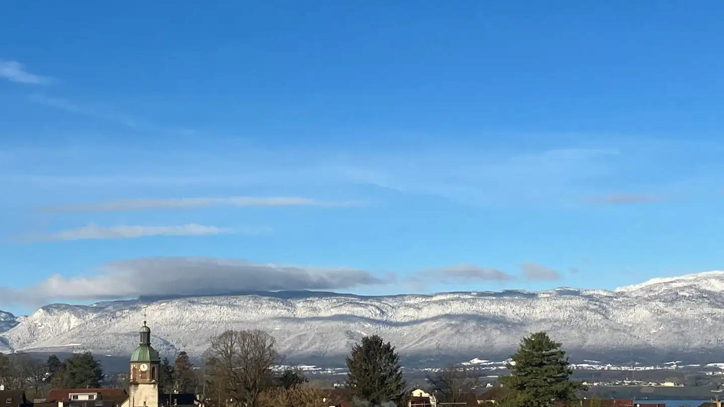 Maison individuelle à vendre - 1248 Hermance - Photo 4