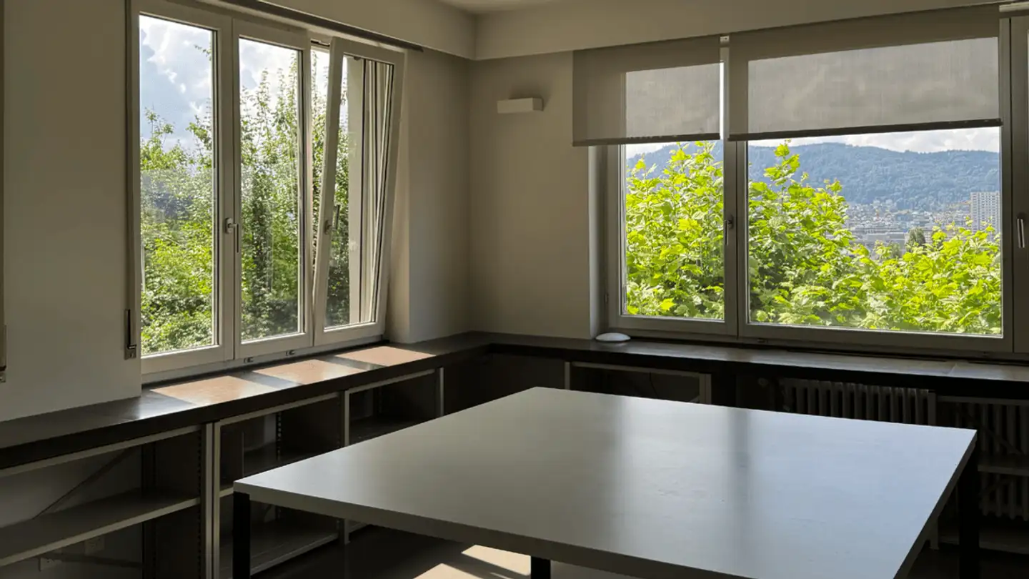 Spazio ufficio in affitto - Ackersteinstrasse 119, 8049 Zürich