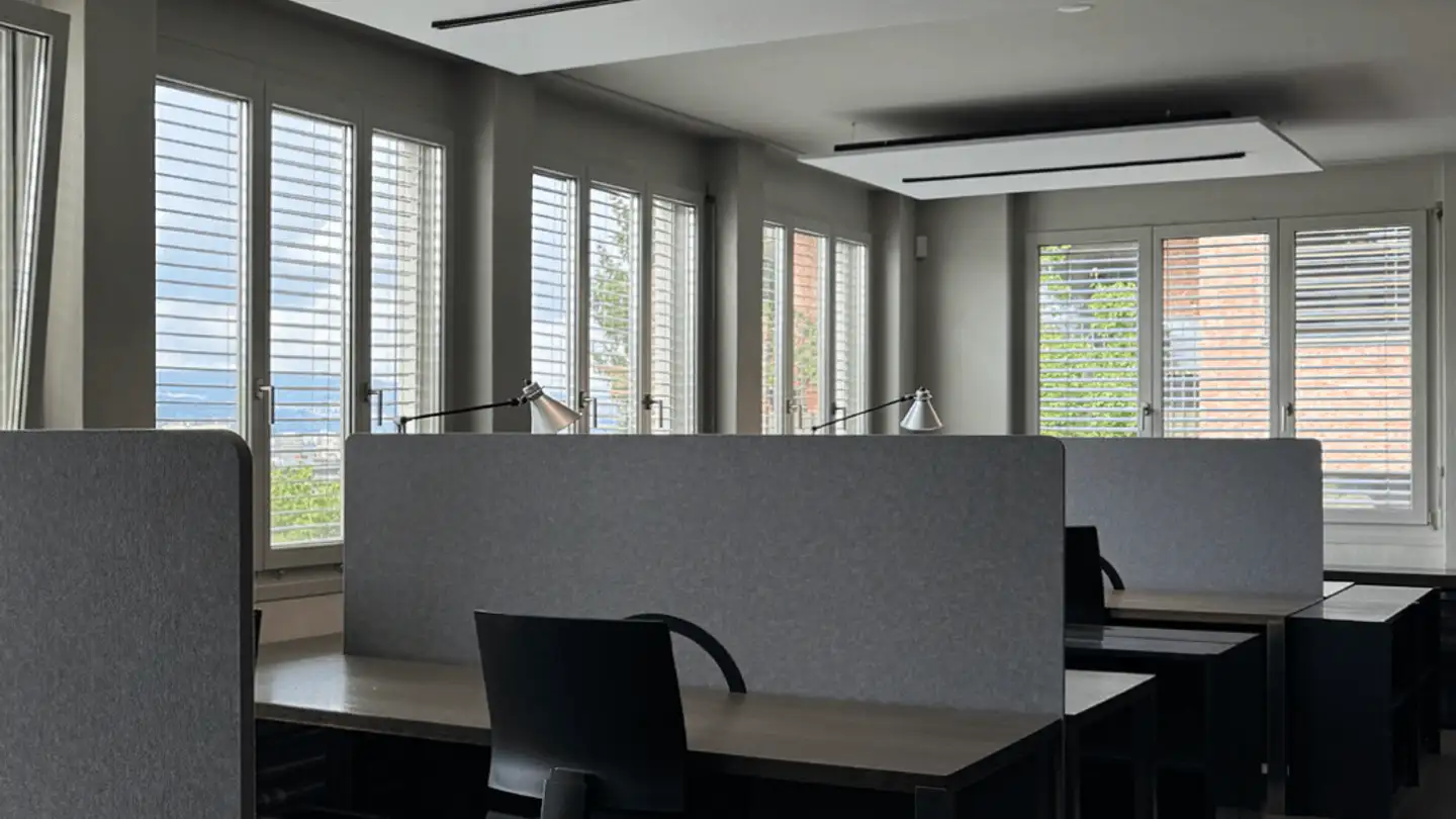 Office space for rent - Ackersteinstrasse 119, 8049 Zürich - Photo 3