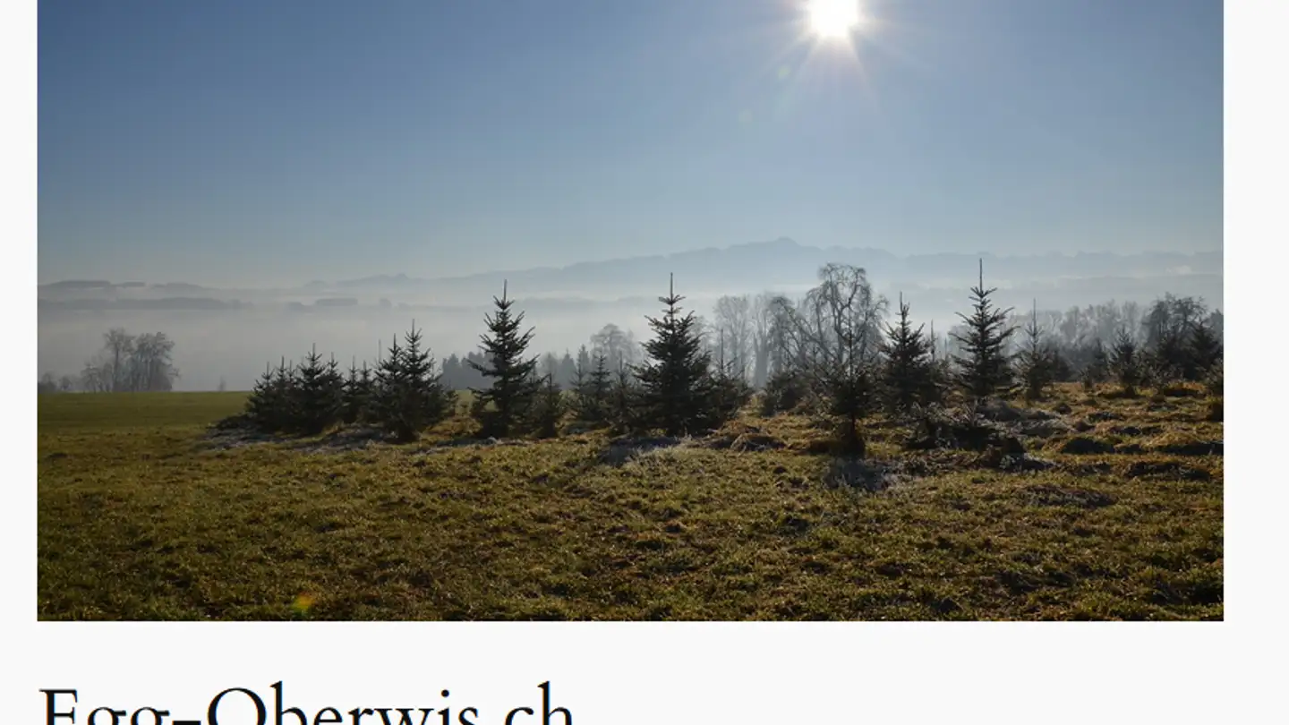 Terreno edificabile in vendita - 9527 Niederhelfenschwil