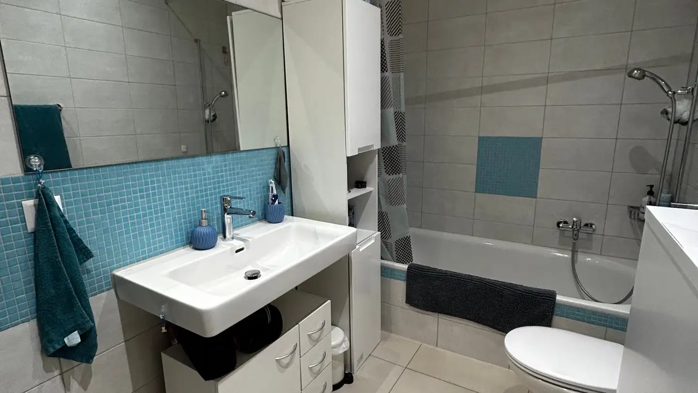 Appartement à louer - Breitsteinweg, 4704 Niederbipp - Photo 3