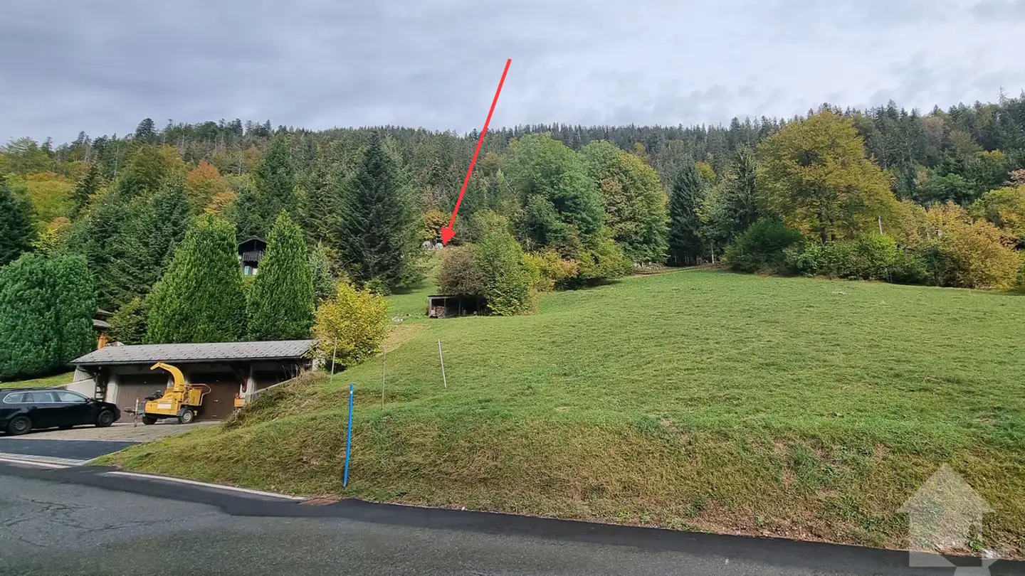 Terrain constructible à vendre - Chemin De La Cheurgne 31, 1899 Torgon