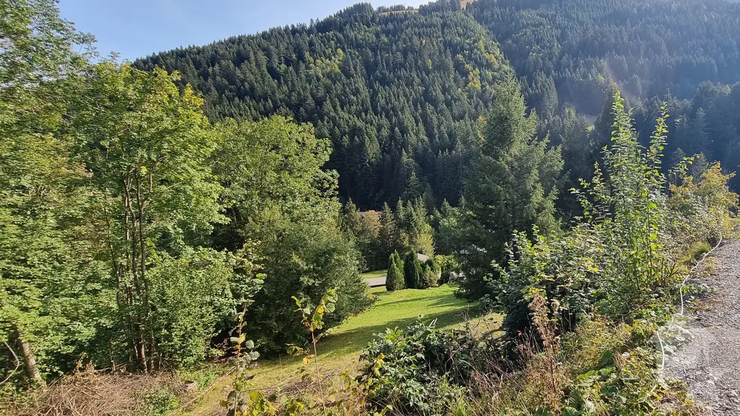 Terreno edificabile in vendita - Chemin De La Cheurgne 31, 1899 Torgon - Foto 2