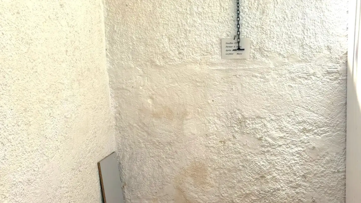 Studio in affitto - 2900 Porrentruy - Foto 4