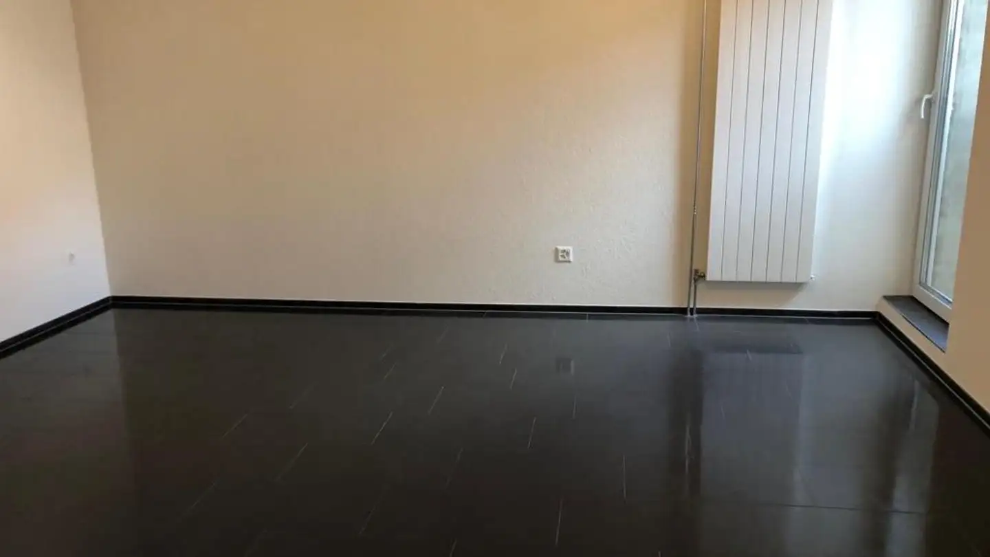 Appartamento in affitto - Finsterwaldstrasse 25, 8200 Schaffhausen - Foto 2