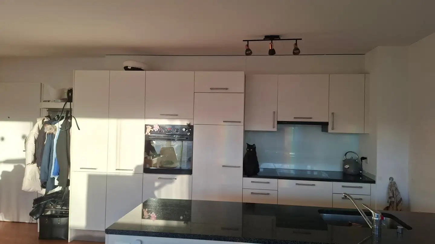 Appartamento in affitto - Mattenweg 9, 5504 Othmarsingen - Foto 3