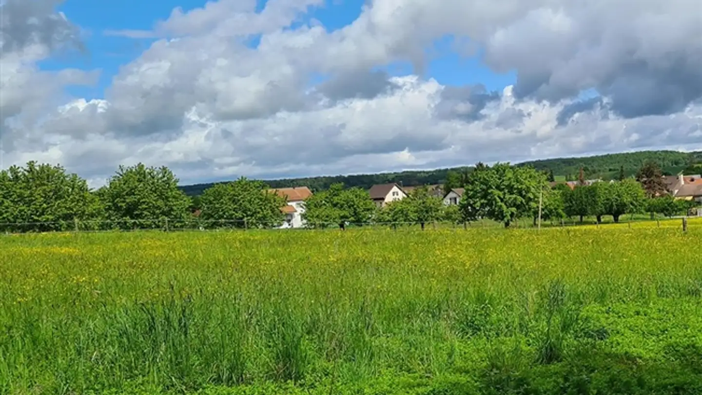 Villa for sale - 4108 Witterswil - Photo 3