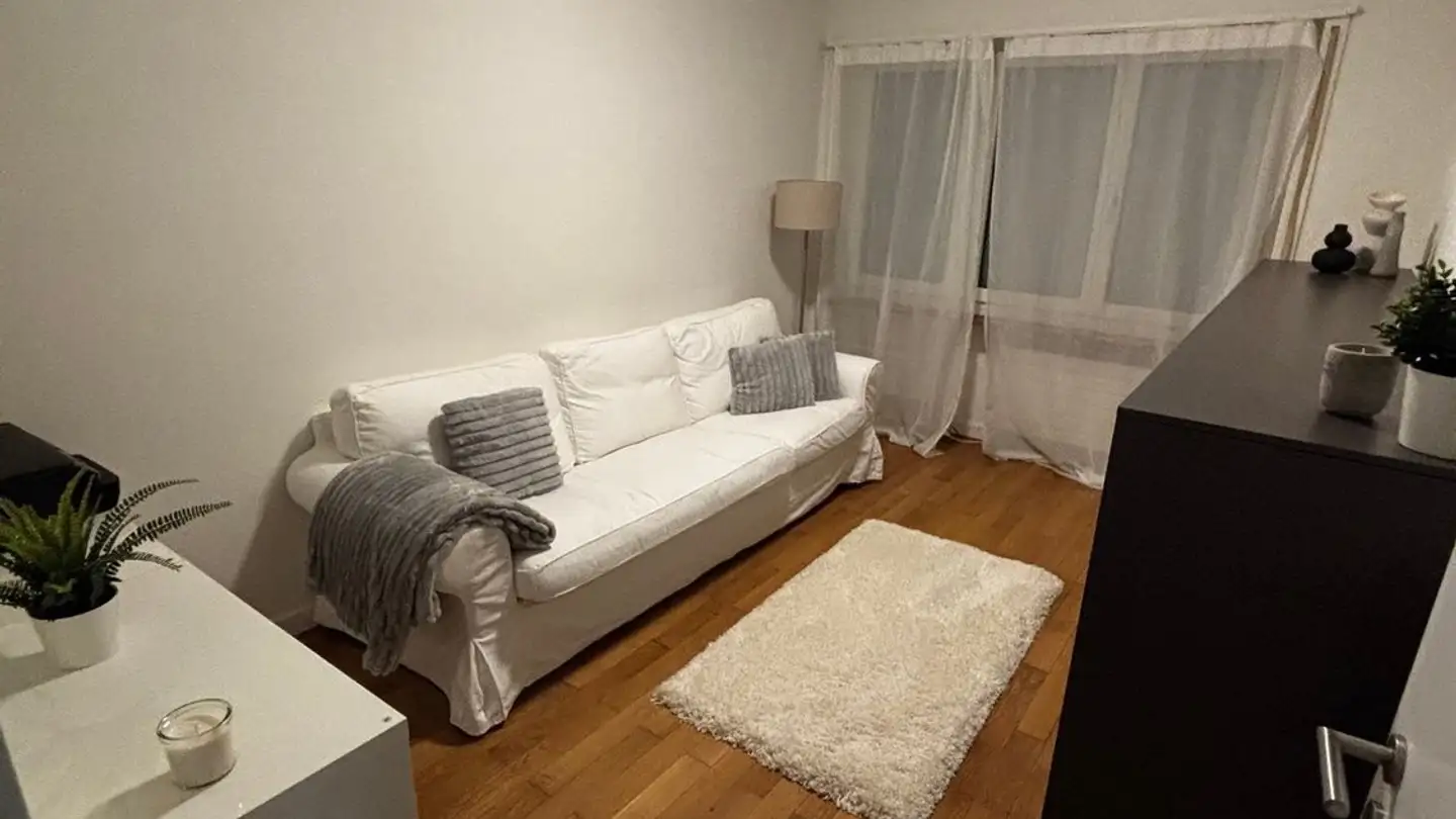 Apartment for rent - Eisfeldstrasse 6, 8050 Zürich - Photo 2