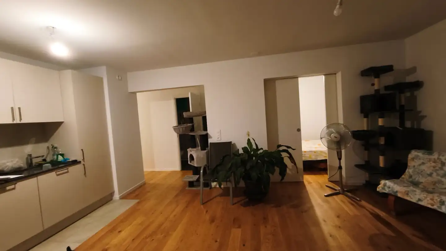 Wohnung mieten - Chemin Vert 9, 1804 Corsier-sur-Vevey