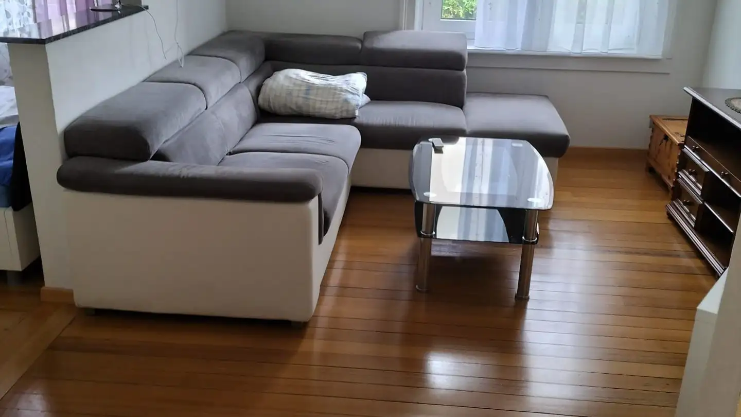 Appartement meublé à louer - Altbergstrasse 24, 8953 Dietikon