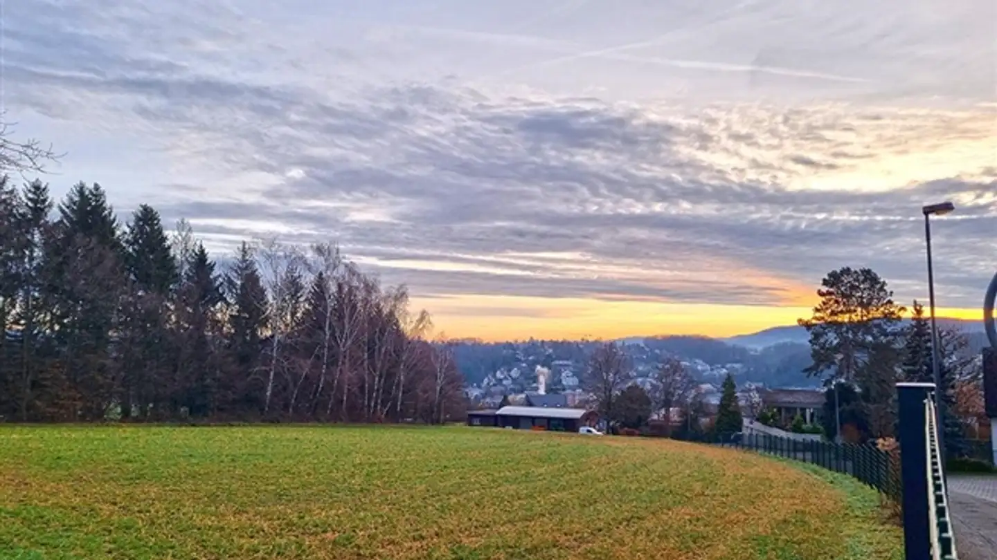 Casa singola in vendita - 4102 Binningen