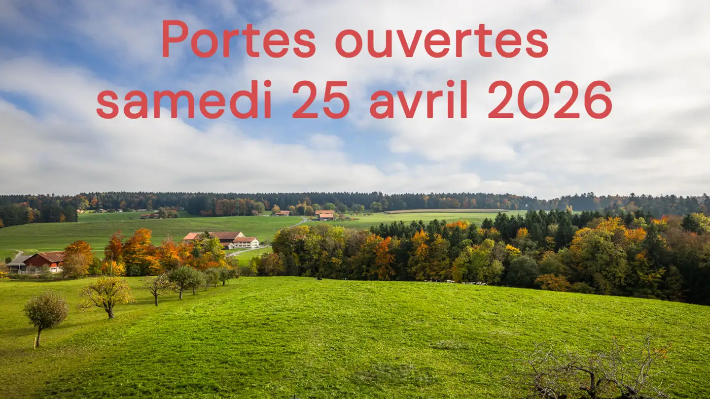 Appartamento in vendita - Route De Romont 45, 1699 Porsel