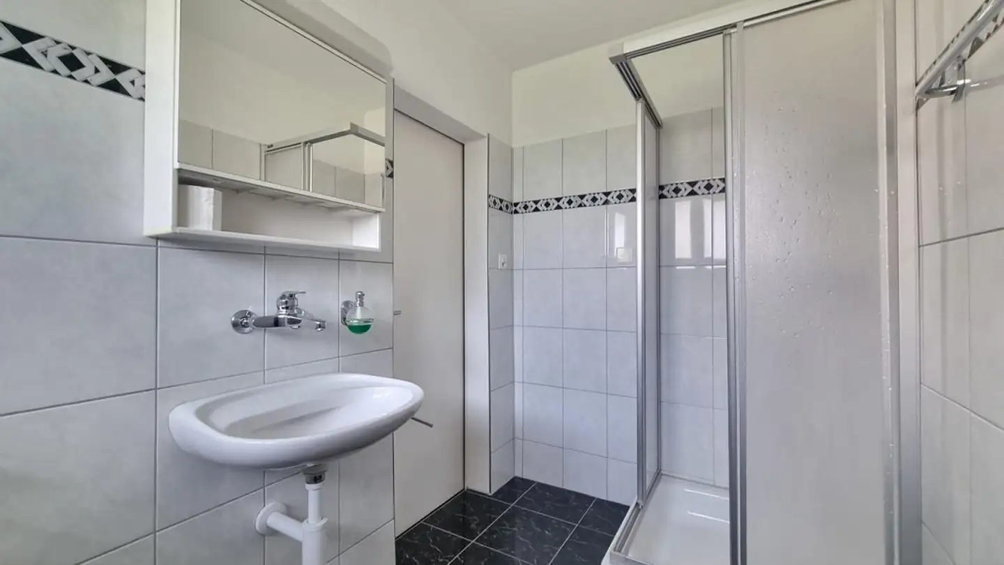 Commercial à louer - Schaufelbergerstrasse 56, 8055 Zürich - Photo 4