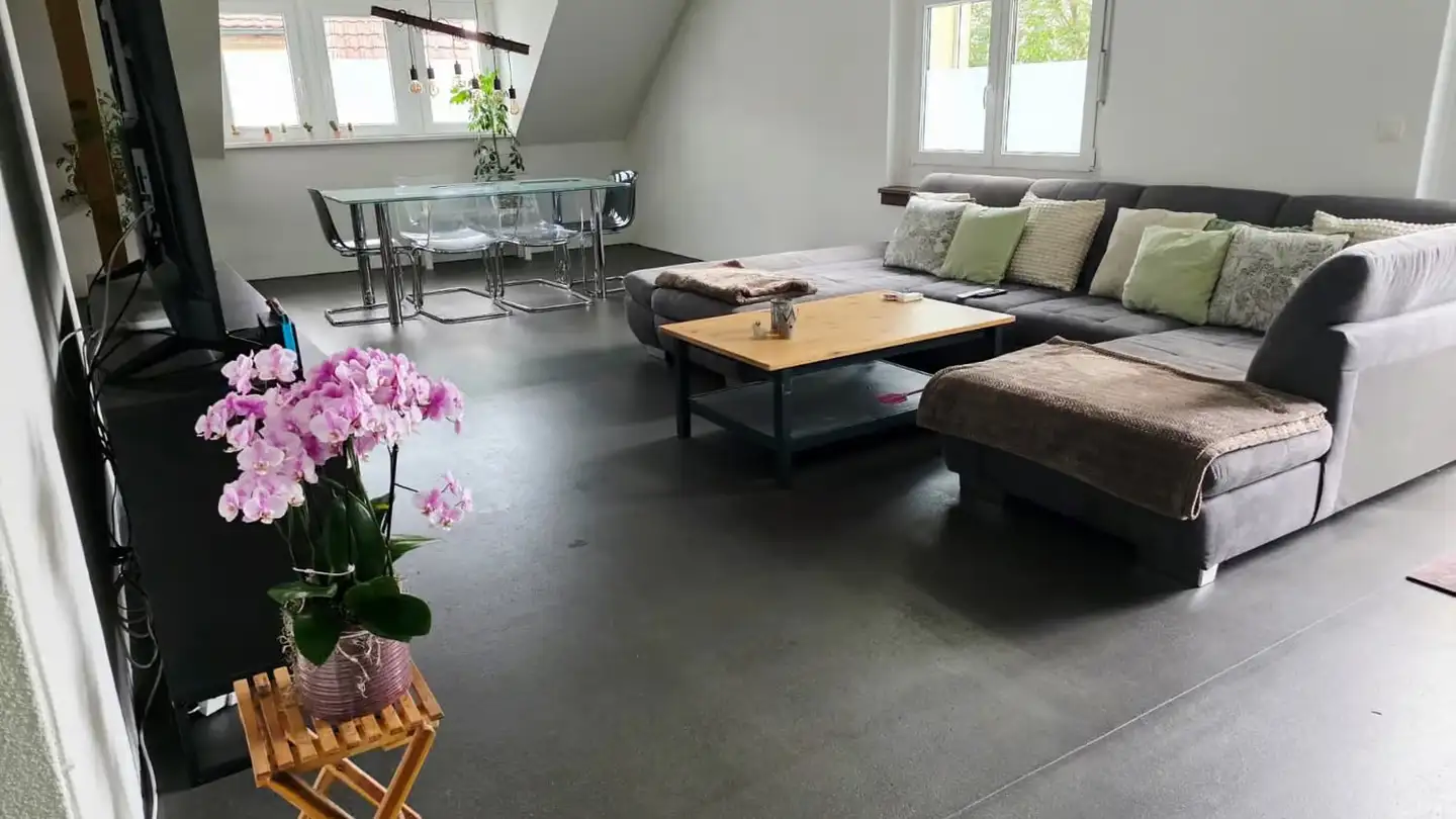 Loft for rent - Oberdorf 4c, 5040 Schöftland - Photo 4