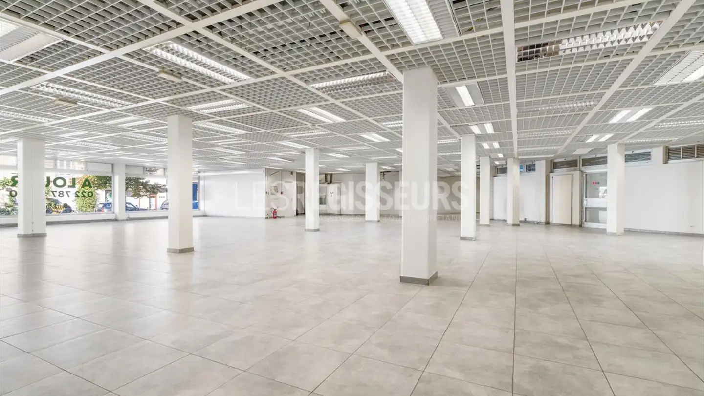 Portico in affitto - Rue Peillonnex 2, 1225 Chêne-Bourg - Foto 2