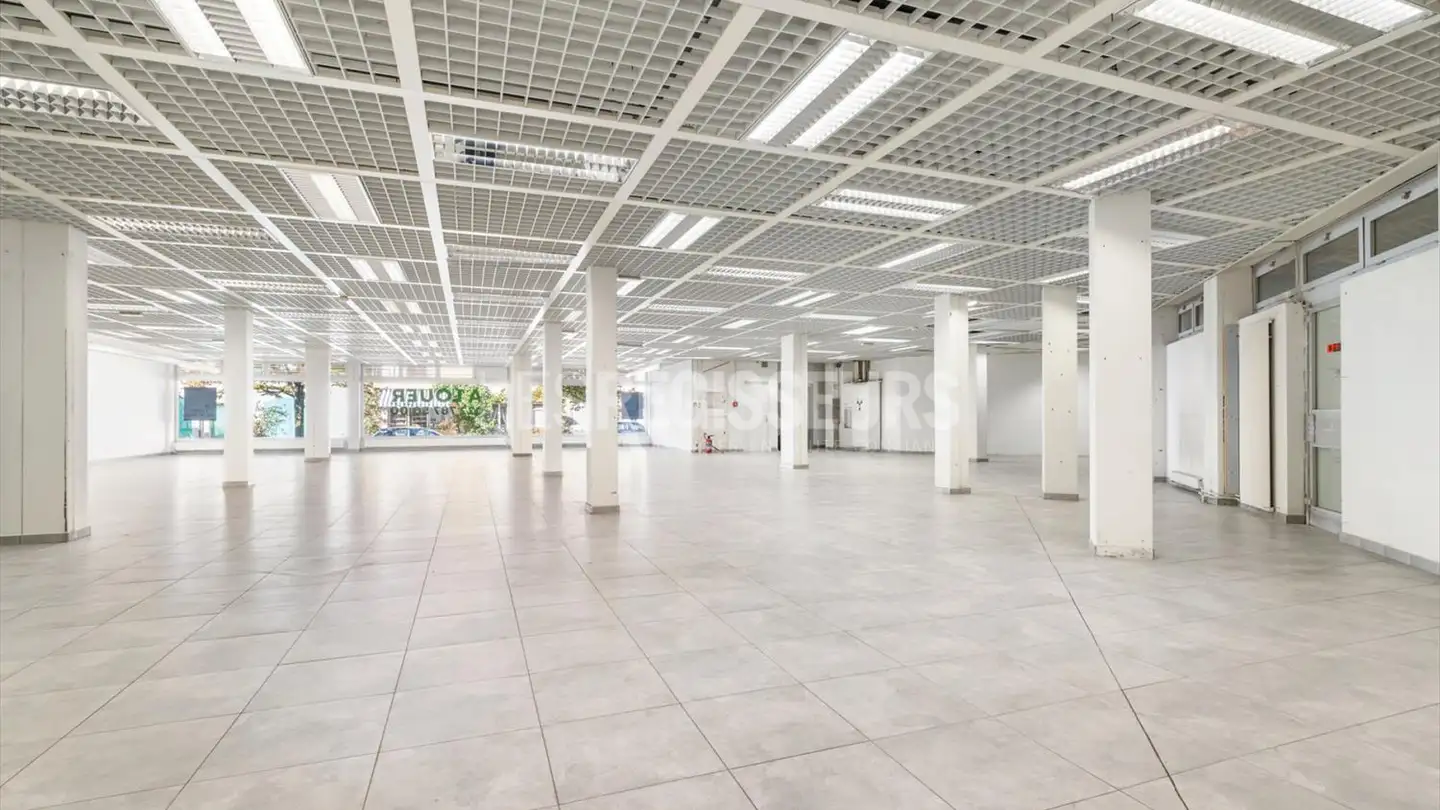 Portico in affitto - Rue Peillonnex 2, 1225 Chêne-Bourg - Foto 3