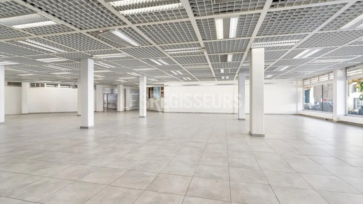 Portico in affitto - Rue Peillonnex 2, 1225 Chêne-Bourg - Foto 4