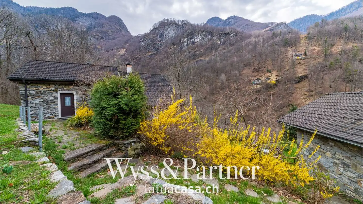 Laboratorio in vendita - 6692 Menzonio - Photo 4