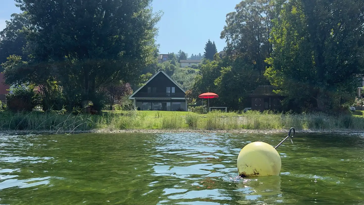 Single house for sale - Seestrasse 196, 8266 Steckborn