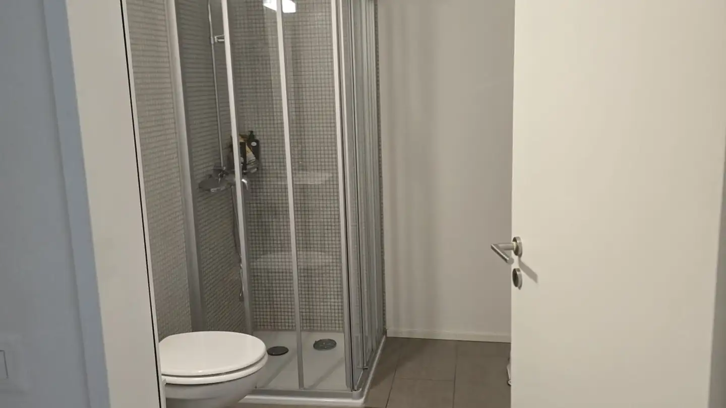 Appartamento in affitto - Sonnenbergstrasse, 8603 Schwerzenbach - Foto 3