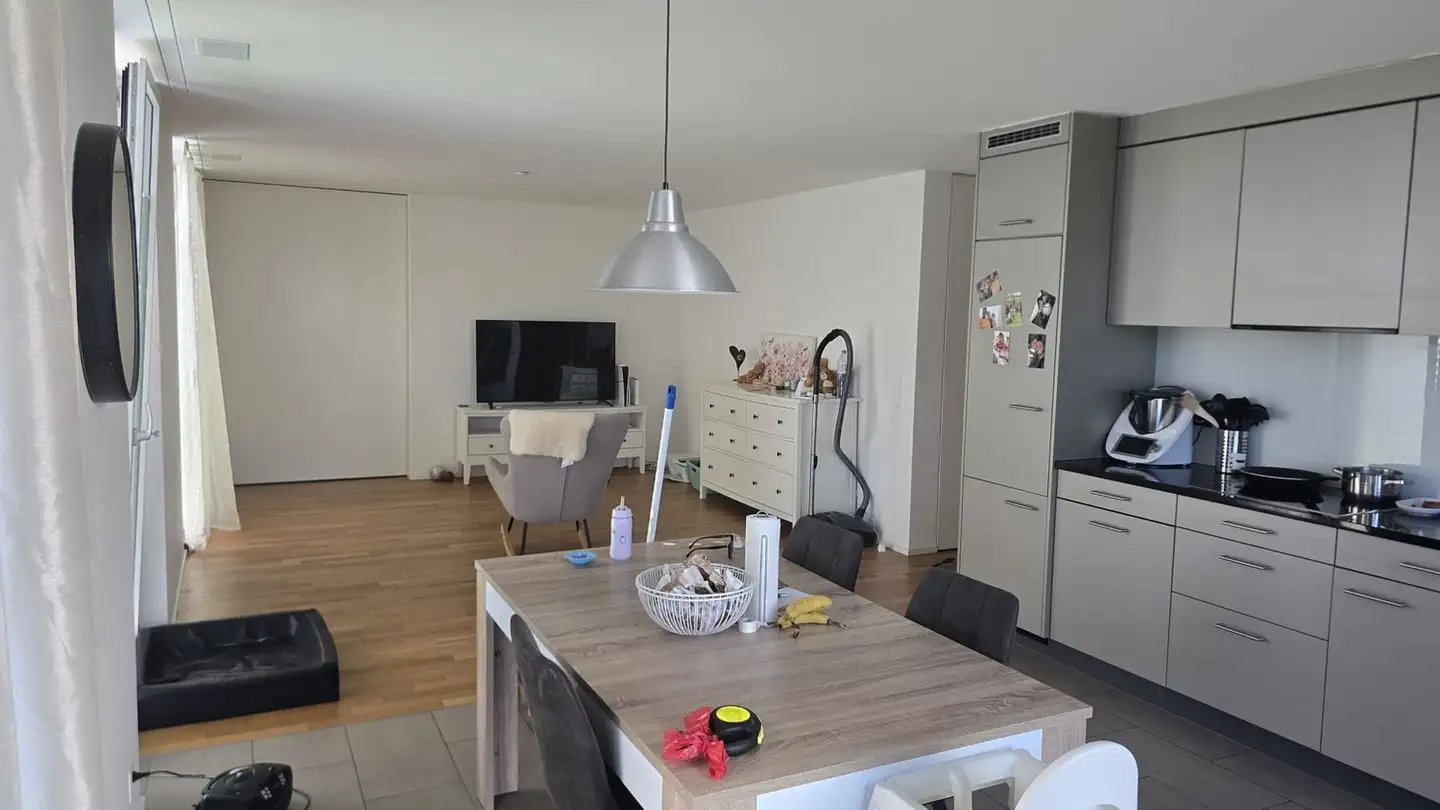 Appartamento in affitto - Sonnenbergstrasse, 8603 Schwerzenbach